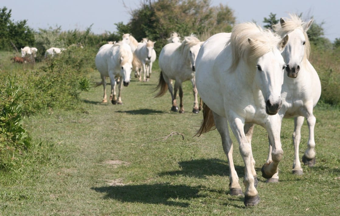 32959178_1838960889744045_5769673505679343616_n (1)