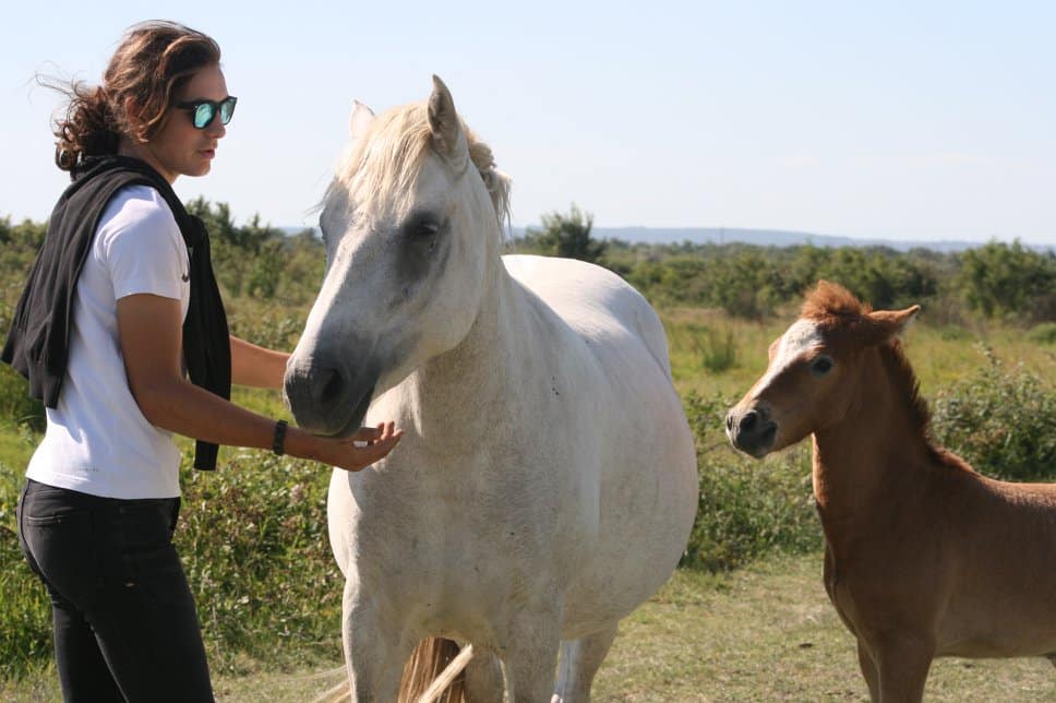 36062873_1858894321084035_6811020285446193152_n