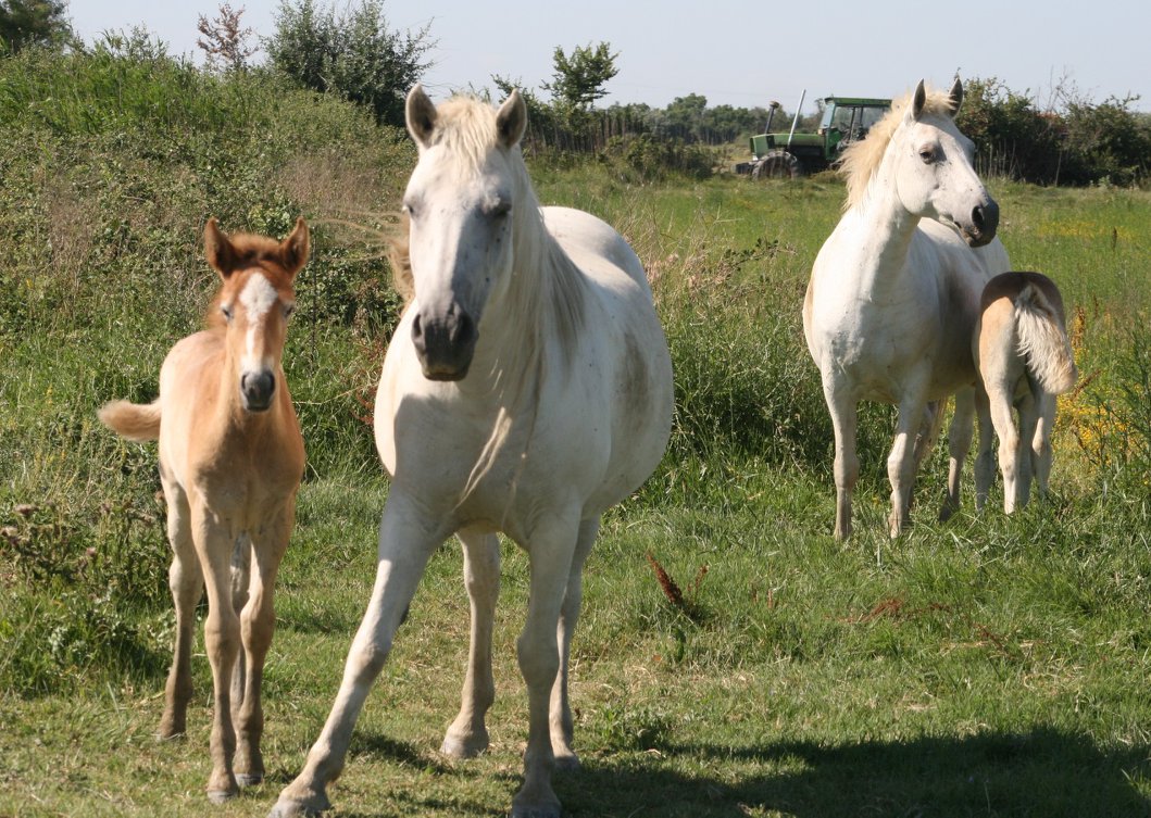 36234090_1858892327750901_6171247905563738112_n