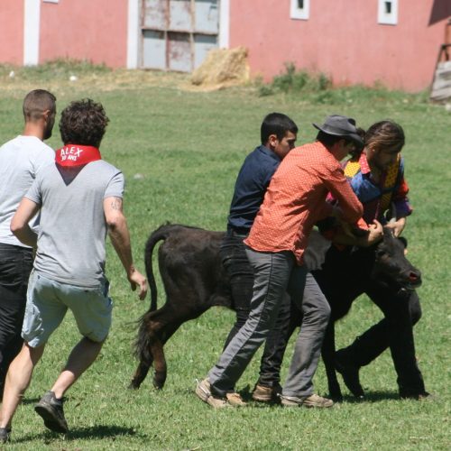 109435966_2379342695705859_5306237648903140251_n