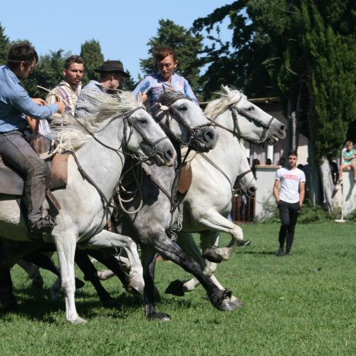 118506318_2413519868954808_4274498716287859340_n