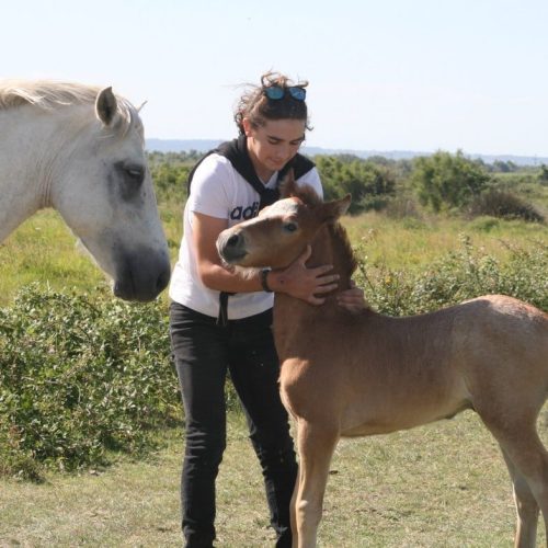 36257360_1858894014417399_1994925284364648448_n