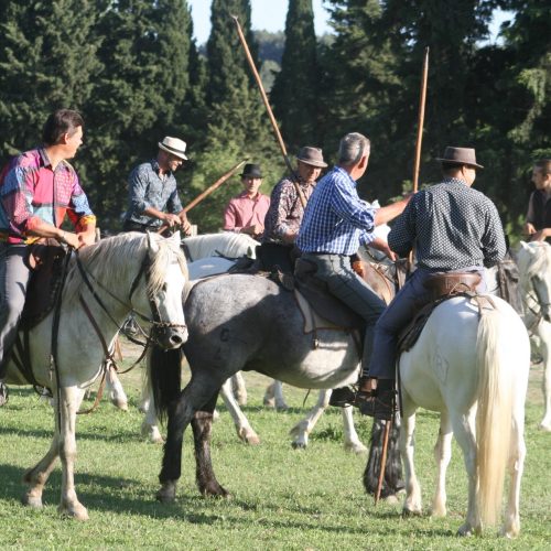 62117003_2080371738936291_8116577514639327232_n