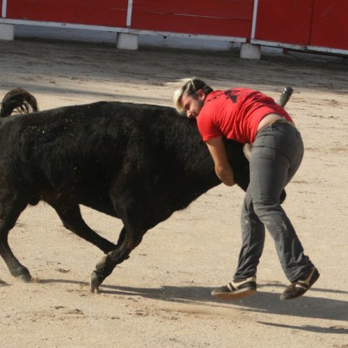 74913063_2172725766367554_1382033103333097472_n